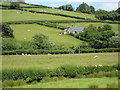 Hillside near Pont Garth, Maenan