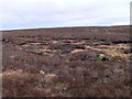 SH7845 : Peat haggs to the east of Llyn Conwy. by Eirian Evans