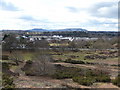 Hartlebury Common