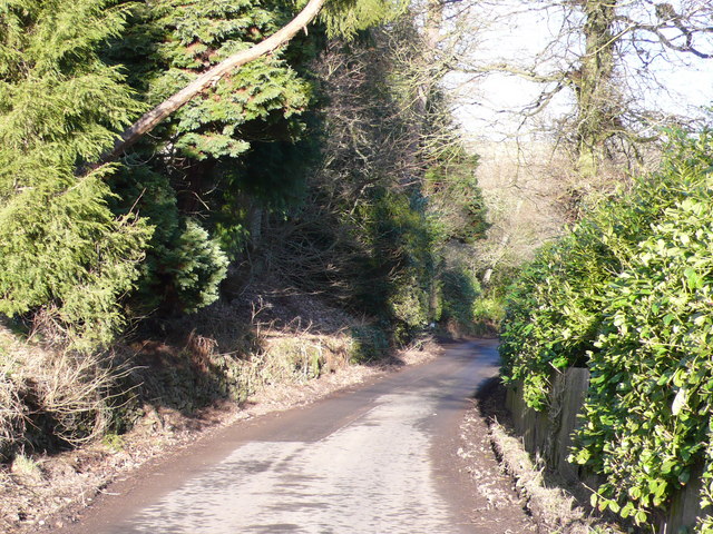 Minor road at Abbey St Bathans