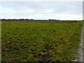 Tir Amaethyddol ger Llanon/ Agricultural land near Llanon