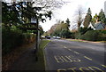 Bus Stop, Pembury Rd