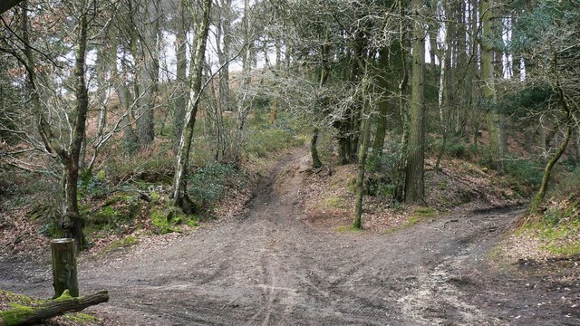 Junction of tracks below the summit of Gibbet Hill