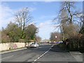 York Road - viewed from Audby Lane