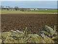 Looking Towards Little Haddo