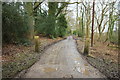 Old Gateposts in Wyresdale Park