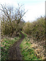 Footpath to Newhaven