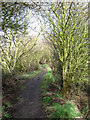 Footpath to The Drove