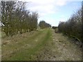 Footpath north of Callerton Grange