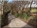 Lane north of Chudleigh Knighton