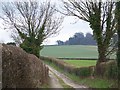 Bridleway from A354