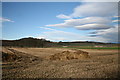 Farmland, Lunanhead