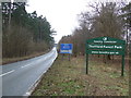 Road And Forest Sign