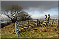 A stile on Selkirk Common