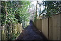 Footpath through the suburbs