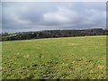 Bridleway to Milborne St Andrew