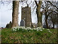 The Church of Saint Calixtus, West Down.