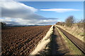 Farm track near Baggerton farm