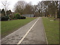 Cycle lane and footpath, Cassiobury Park