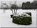 Snow covered Aylestone Playing Fields