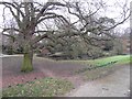 The Balancing Pool, Charlton Park