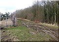 Footpath skirting quarry - View northwestwards