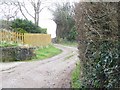 Bridleway near Affpuddle