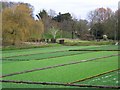 Watercress beds, Broad Chalke