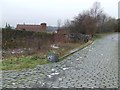 Applecross Street basin towpath