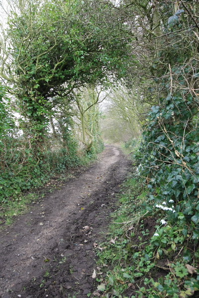 Bridleway to Preesall