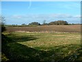 Farmland at Ridgwardine