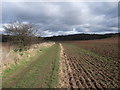 Approaching the woods at South Lodge