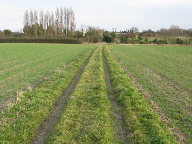Footpath to Knell Lane