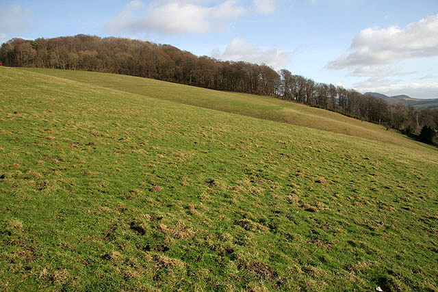Farmland on Blaikie's Hill