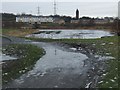 Firhill basin