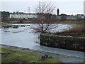 Firhill basin