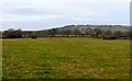 Farmland near Yetminster