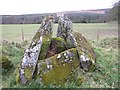 Chambered grave site at Ballyrenan (1)