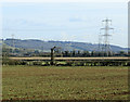 2009 : Pylons proliferate south west of Chippenham