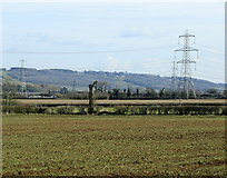 ST8971 : 2009 : Pylons proliferate south west of Chippenham by Maurice Pullin