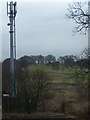 Mobile Phone Mast