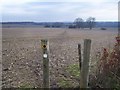 Footpath crosses field to Trottiscliffe