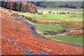 Back Road to Mungrisdale