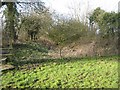 Bed of Thames & Severn Canal at Eysey