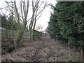 Thames and Severn Canal at Marston Meysey