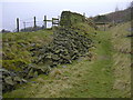 Footpath to Mary