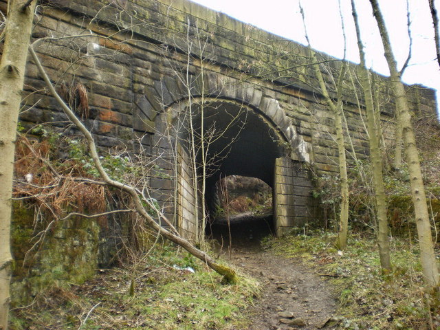 Footpath under the railway near Dunge Booth Lock