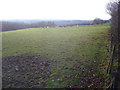 Grazing land at Lucton Common - 2