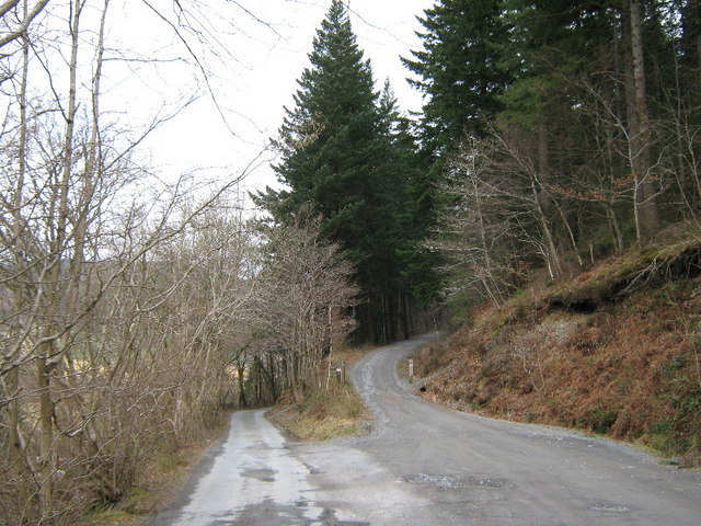 Forestry road junction