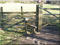 NZ0931 : Stile near the toll booth Hamsterley Forest by Ann Clare